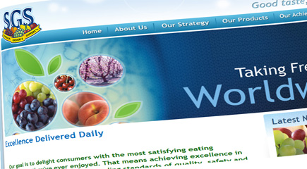 Sgs.us.com